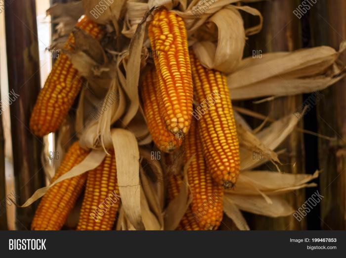 Cob corn painting