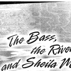 The bass the river and sheila mant theme