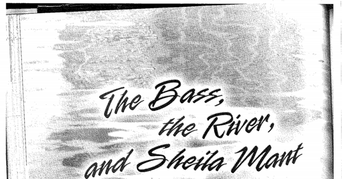 The bass the river and sheila mant theme