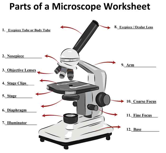 Color the parts of the microscope worksheet