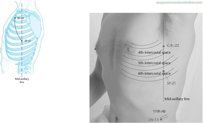 Sp 21 acupuncture point location