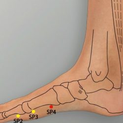 Sp 21 acupuncture point location