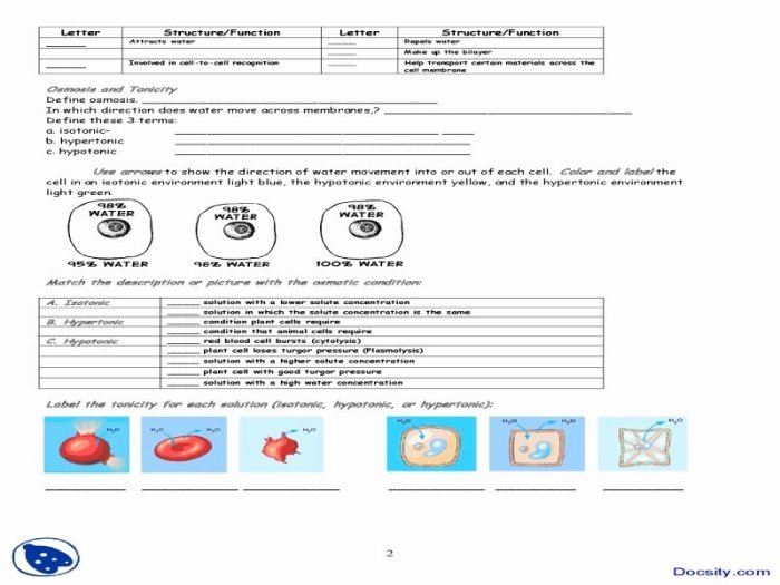 Worksheet membrane tonicity