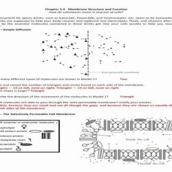 Membrane