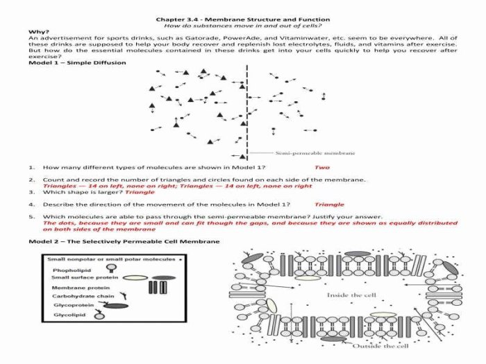 Membrane