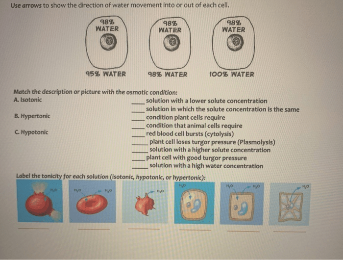 Cell membrane and tonicity worksheet