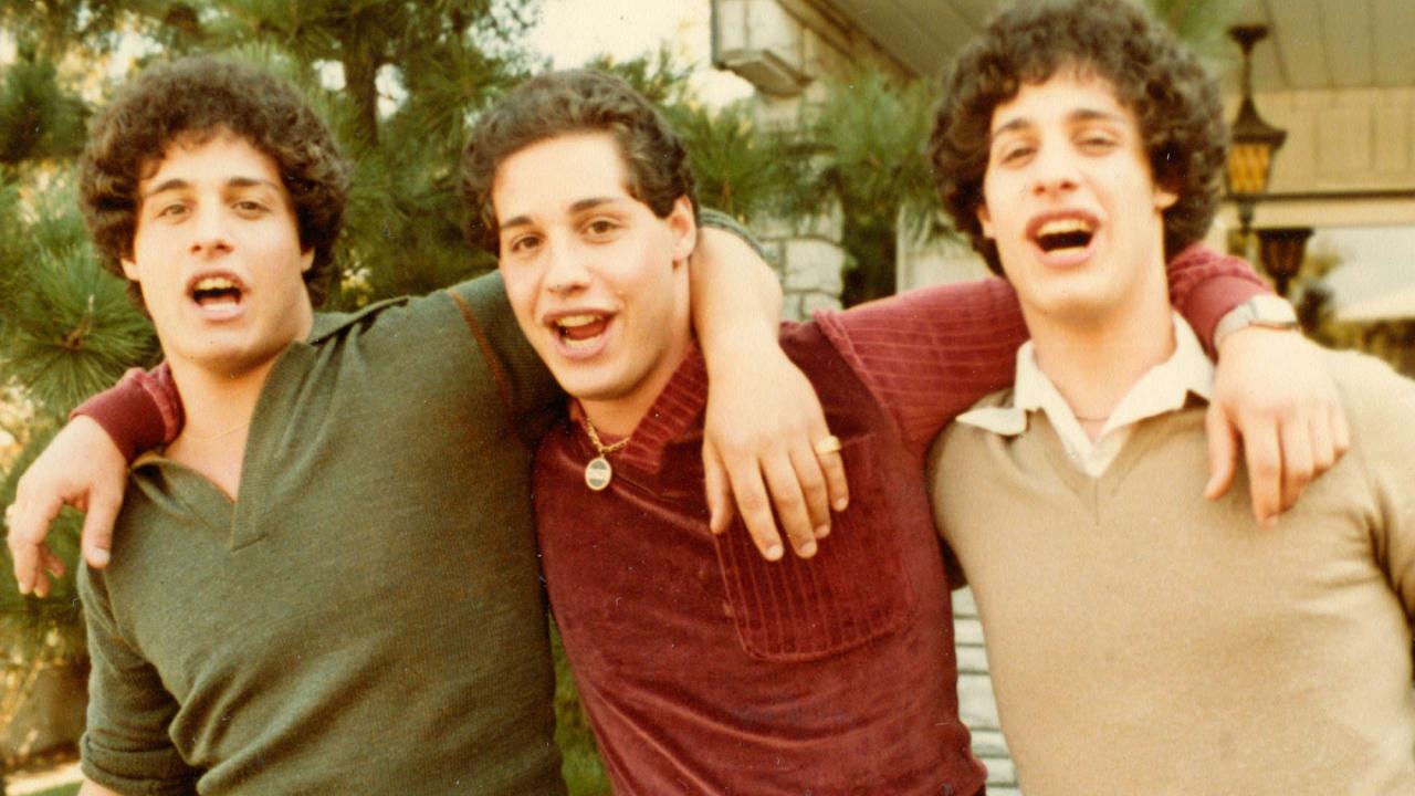 Three identical strangers worksheet pdf